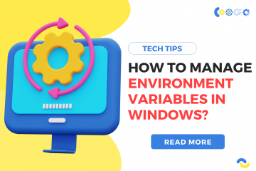 environment variables on windows